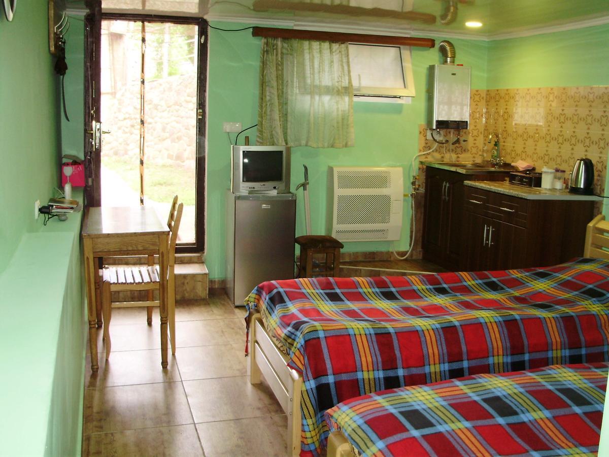 Apartment On Erekle 25A Borjomi Bagian luar foto