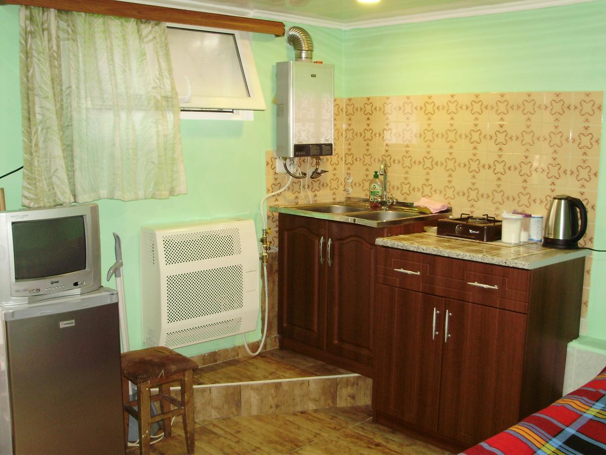 Apartment On Erekle 25A Borjomi Bagian luar foto